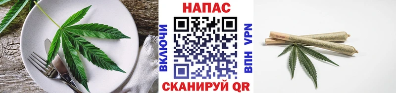 блэк спрут ТОР  Новосокольники  Canna-Cookies конопля 