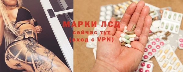 СК Горнозаводск