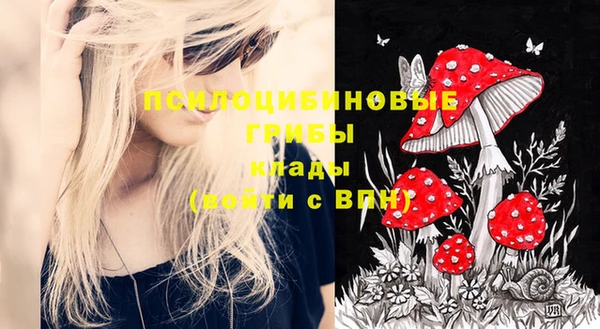 не бодяженный Горно-Алтайск
