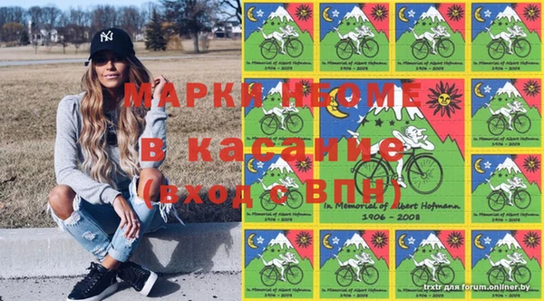 не бодяженный Горно-Алтайск