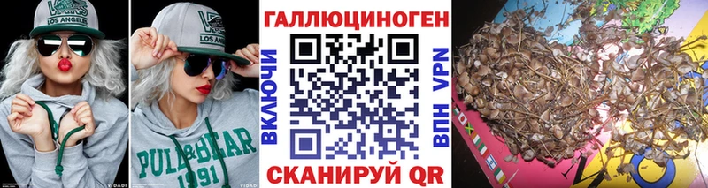 что такое Новосокольники Галлюциногенные грибы GOLDEN TEACHER